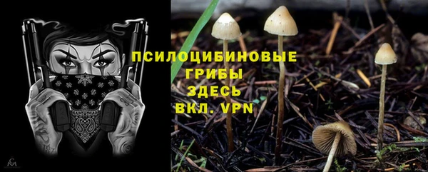прущая мука Покров