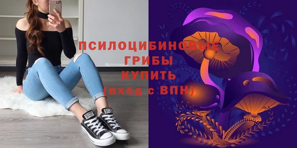 кристаллы Покачи